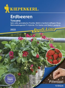 Erdbeere Toscana (Pillensaat) | Erdbeersamen Von Kiepenkerl
