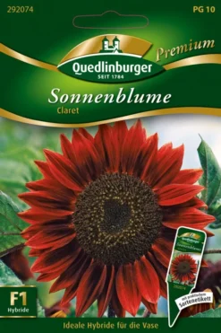 Sonnenblumen Claret | Sonnenblumensamen Von Quedlinburger