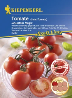 Tomate Mountain Magic | Tomatensamen Von Kiepenkerl