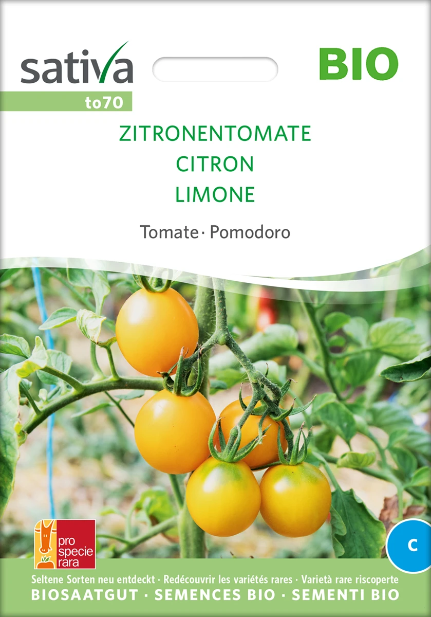 Tomate Zitronentomate | BIO Tomatensamen Von Sativa Rheinau – Bild 2