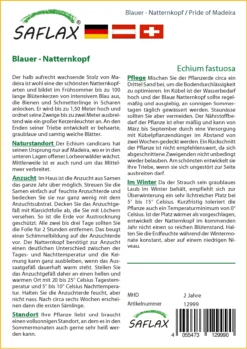 Blauer Natternkopf | Wildblumensamen Von Saflax