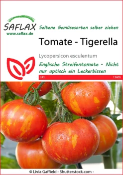 Tomate Tigerella | Tomatensamen Von Saflax