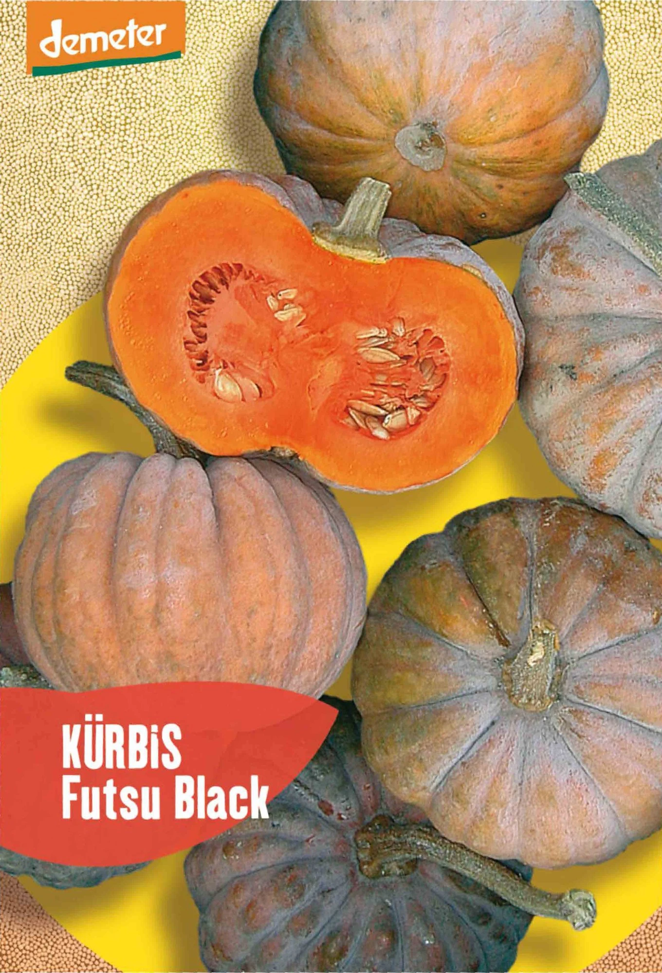 Kürbis Futsu Black | BIO Kürbissamen Von Reinsaat