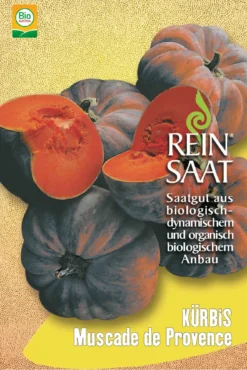 Kürbis Muscade De Provence | BIO Kürbissamen Von Reinsaat