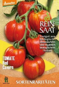 Salattomate Red Cavern | BIO Stabtomatensamen Von Reinsaat