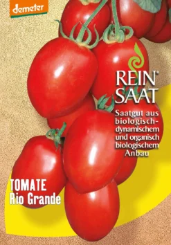 Saucentomate Rio Grande | BIO Fleischtomatensamen Von Reinsaat