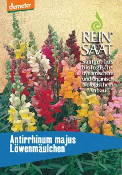 Löwenmäulchen Niedrig | BIO Löwenmaulsamen Von Reinsaat