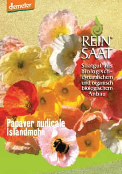 Islandmohn | BIO Mohnsamen Von Reinsaat