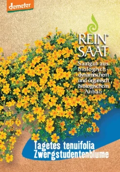 Zwergstudentenblume | BIO Studentenblumensamen Von Reinsaat