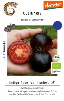 Salattomate Indigo Rose | BIO Salattomatensamen Von Culinaris