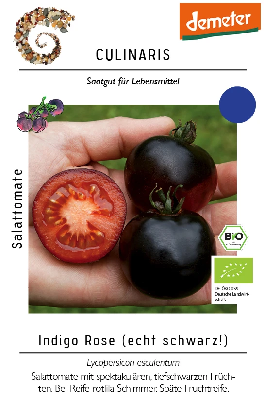 Salattomate Indigo Rose | BIO Salattomatensamen Von Culinaris
