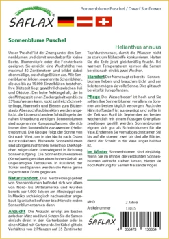 Sonnenblume Puschel | Sonnenblumensamen Von Saflax