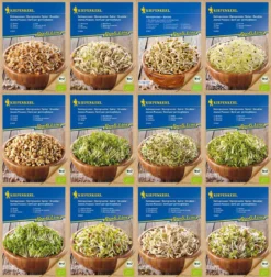BIO Keimsprossen Sortiment Mit 12 Sorten | Keimsprossen Von Kiepenkerl
