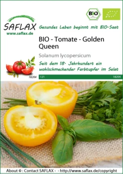 Tomate Golden Queen | BIO Tomatensamen Von Saflax