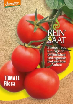 Tomate Ricca | BIO Tomatensamen Von Reinsaat
