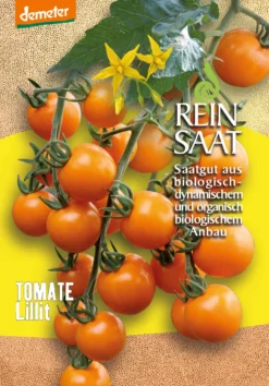 Tomate Lillit | BIO Tomatensamen Von Reinsaat