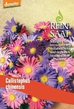 Sommeraster | BIO Asternsamen Von Reinsaat