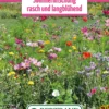 Blumenwiese Langanhaltende Sommermischung (100 G) | Blumensamen Von Bertrand