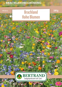 Blumenwiese Brachland Hohe Blumen (100 G) | Blumensamen Von Bertrand