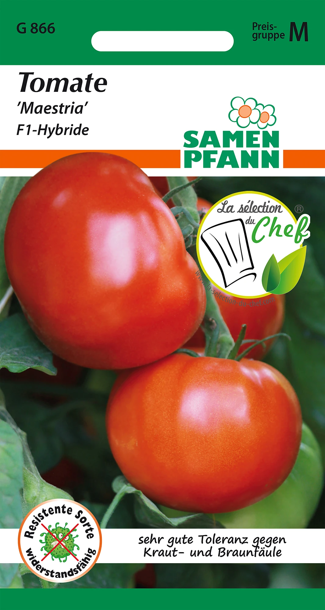 Tomate Maestria F1-Hybride | Tomatensamen Von Samen Pfann – Bild 2