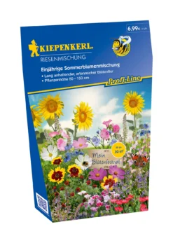 Einjährige Sommerblumenmischung (30 G) | Blumenwiese Von Kiepenkerl