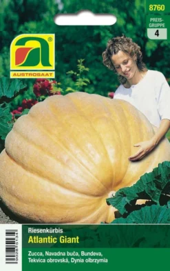 Riesenkürbis Atlantic Giant | Riesenkürbissamen Von Austrosaat