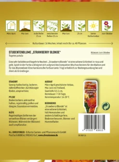 Studentenblume Strawberry Blonde | Studentenblumensamen Von N.L. Chrestensen