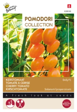 Kirschtomate Dolly F1 | Kirschtomatensamen Von Buzzy Seeds