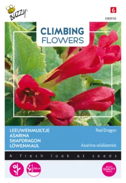 Löwenmäulchen Red Dragon | Löwenmaulsamen Von Buzzy Seeds