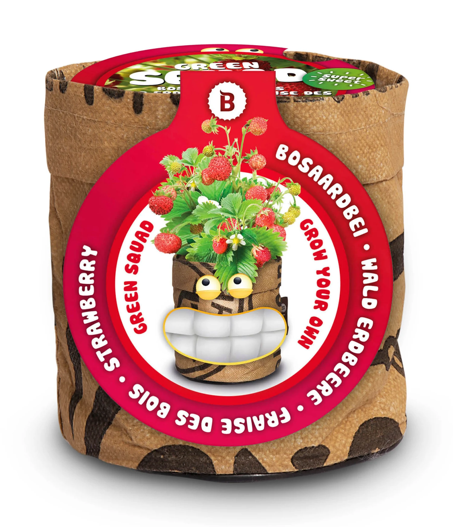 Greensquad Süße Erdbeere | Anzuchtsets Von Baza – Bild 2