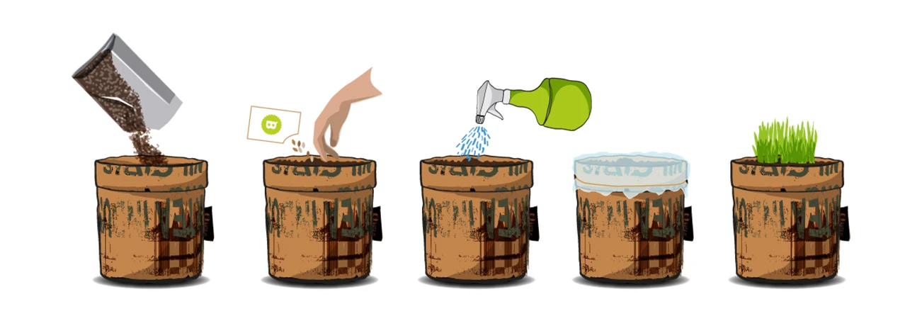 Greensquad Süße Erdbeere | Anzuchtsets Von Baza – Bild 7