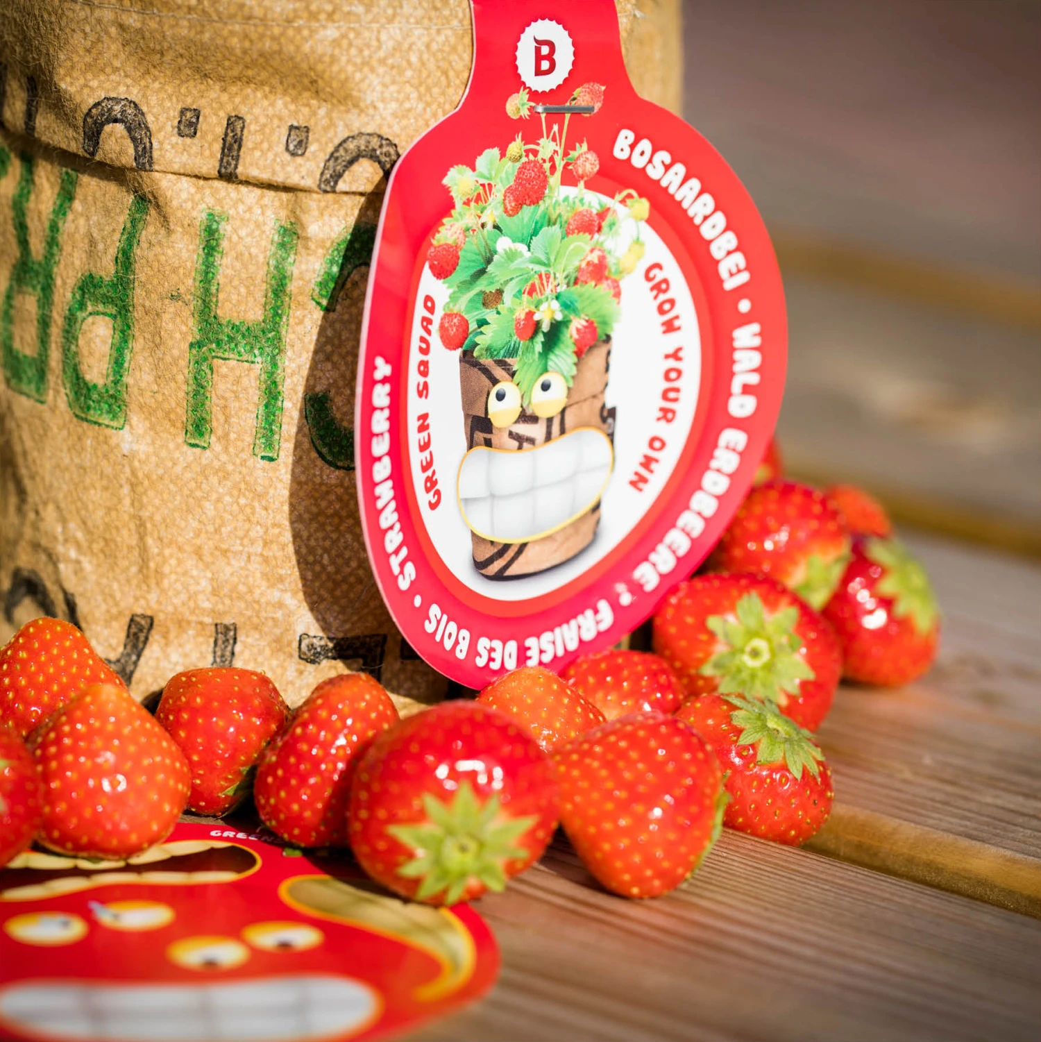 Greensquad Süße Erdbeere | Anzuchtsets Von Baza – Bild 6