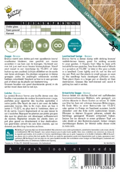 Bräunliche Segge Bronco | Ziergrassamen Von Buzzy Seeds