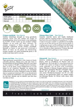 Chinaschilf New Hybrids | Chinaschilfsamen Von Buzzy Seeds