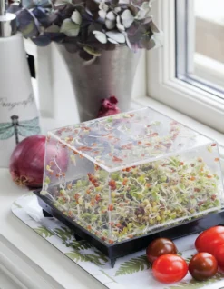 Sprossenbox | Sprossentürme Von Nelson Garden