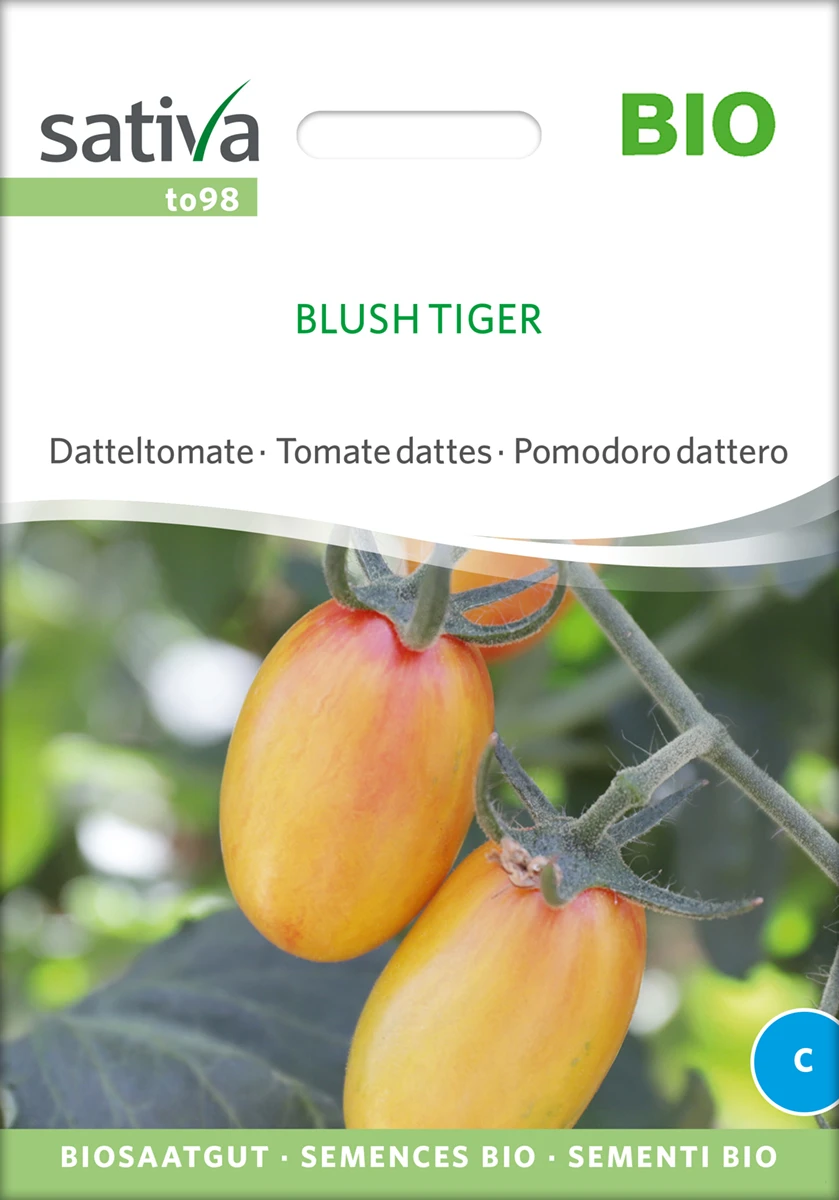 Datteltomate Blush Tiger | BIO Stabtomatensamen Von Sativa Rheinau – Bild 2