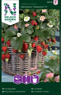 Erdbeere Rainbow Treasure F1 | Erdbeerpflanzen Von Nelson Garden