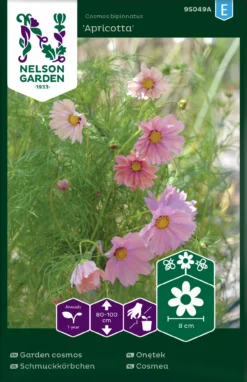 Schmuckkörbchen Apricotta | Cosmeasamen Von Nelson Garden