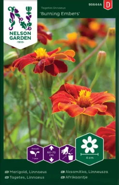 Ringelblumen Linnaeus | Ringelblumensamen Von Nelson Garden