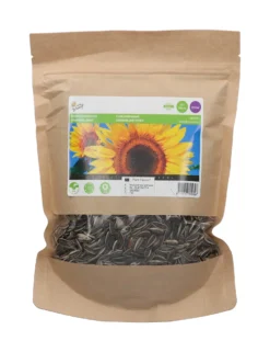 Sonnenblume Giganteus (250 G) | Sonnenblumensamen Von Buzzy Seeds