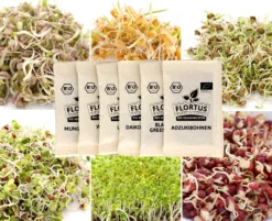Keimsprossen Set Asiatisch (6 Sorten) | BIO Keimsprossen Sets Von FLORTUS