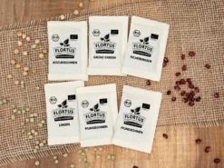 Keimsprossen Set Hülsenfrüchte (6 Sorten) | BIO Keimsprossen Sets Von FLORTUS