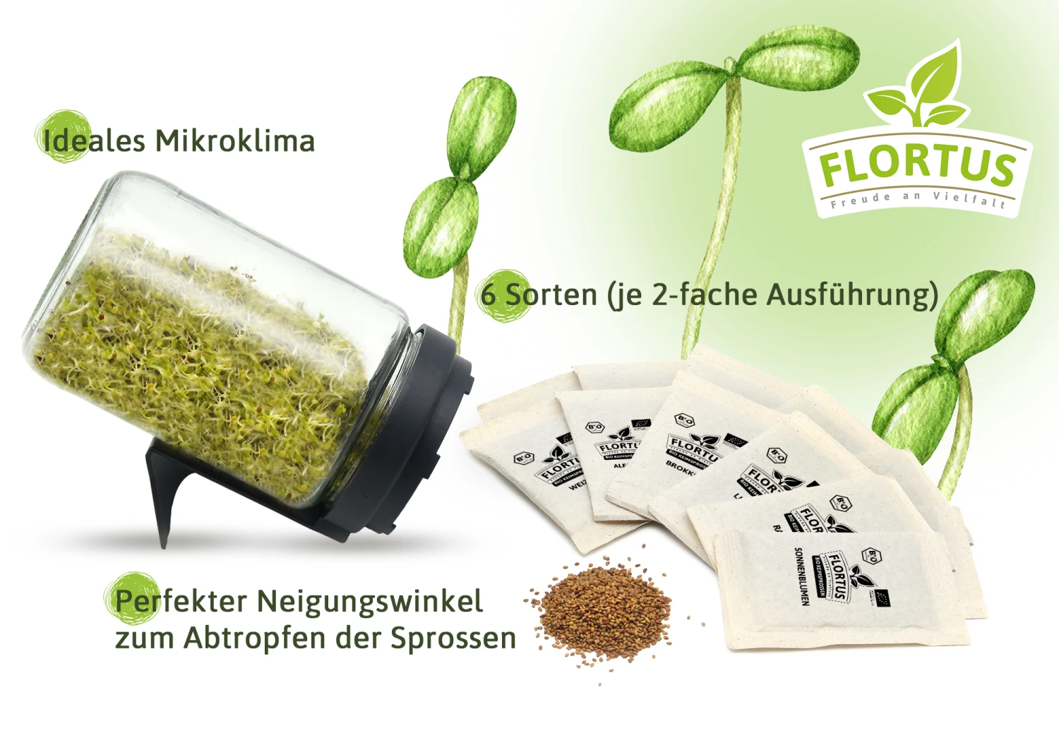 Keimsprossen Anzuchtset - Küchengrundlage (6 Sorten) | BIO Keimsprossen Sets Von FLORTUS – Bild 5