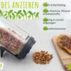 Keimsprossen Anzuchtset - Für Sprossenliebhaber (6 Sorten) | BIO Keimsprossen Sets Von FLORTUS