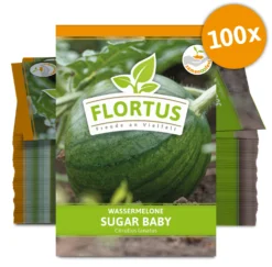 Wassermelone Sugar Baby (100 Tütchen) | BIO Wassermelonensamen Von FLORTUS