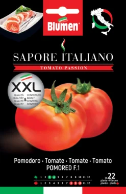 Tomate Sapore Italiano Pomored F1 | Tomatensamen Von BLUMEN Group