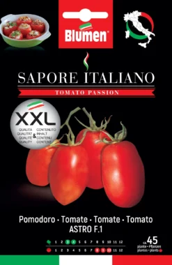 Tomate Sapore Italiano Astro F1 | Tomatensamen Von BLUMEN Group