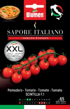 Tomate Sapore Italiano Scintilla F1 | Tomatensamen Von BLUMEN Group