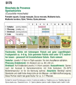 Kürbis Moschata De Provence | BIO Muskatkürbissamen Von Austrosaat