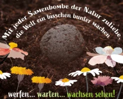 Samenbomben Der Gelbe Sonnenschein (6 Stück) | Blumensamenmischung Von FLORTUS